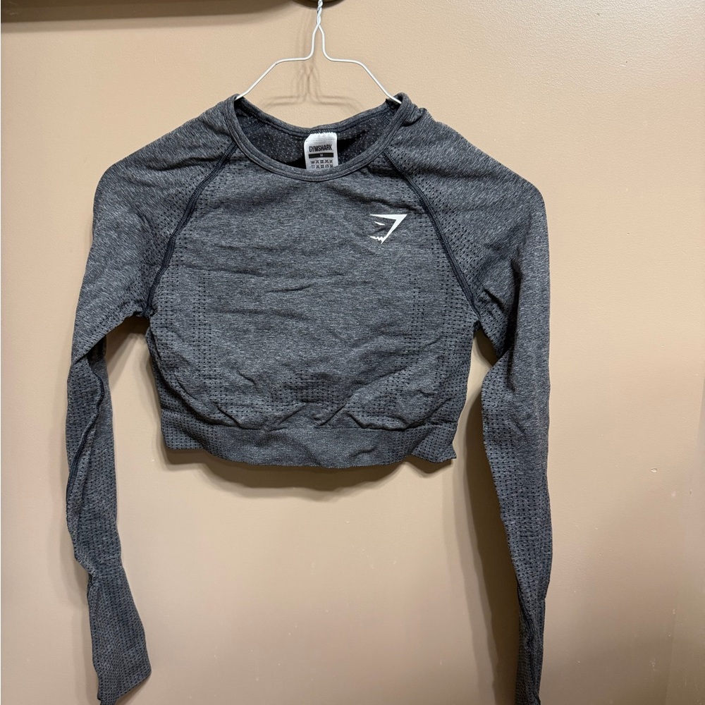 Gray Vital Long Sleeve Crop Top